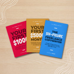 Start making money fast with "The Rich Writer" 3-book series